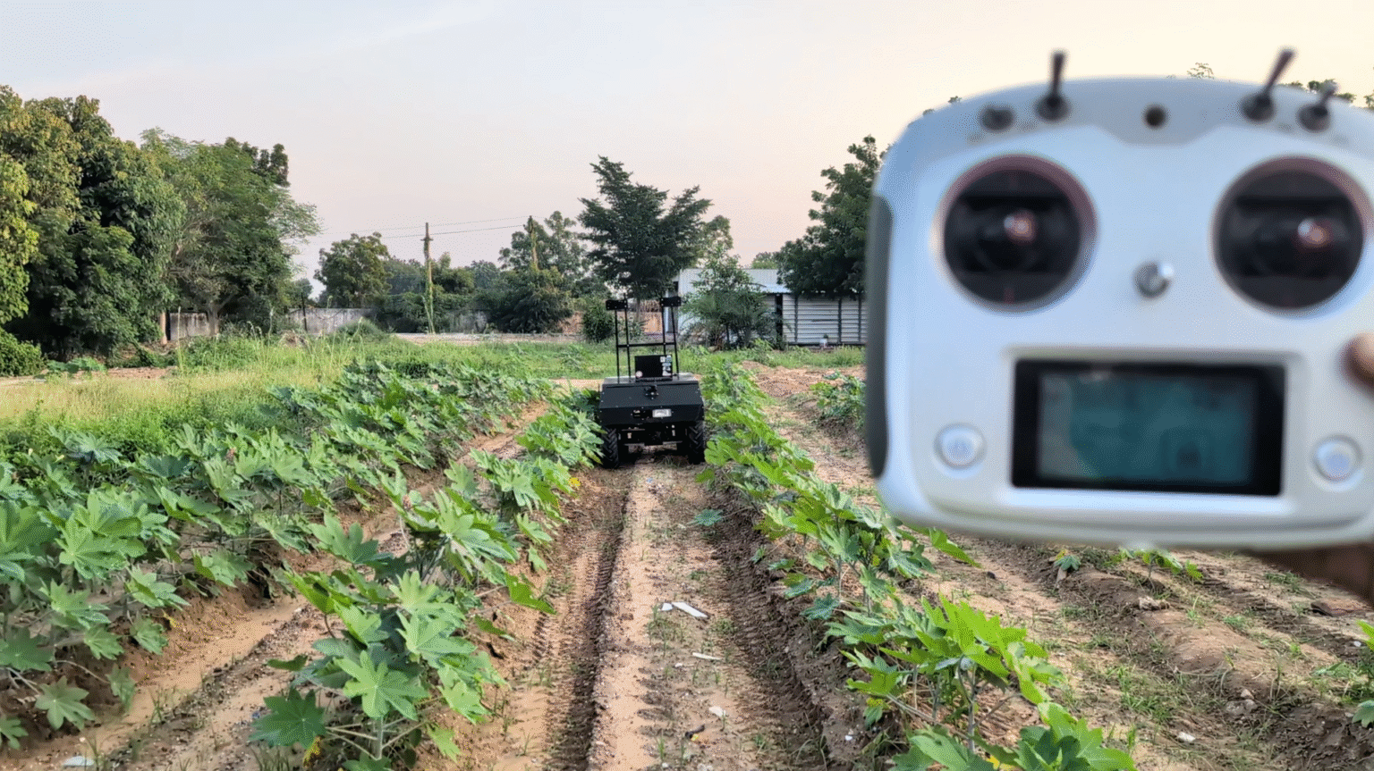 Agrover between crop rows with a remote controller in the foreground